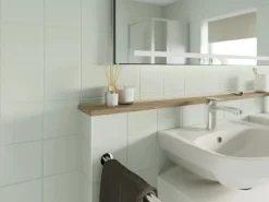 Alpina Fliesen-Lack Bad & Küche 2 Komponenten Silberfarn Seidenmatt 750 ml