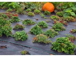 Aquagart 5m² Bodengewebe Unkrautfolie Mulchfolie 100g 1,65m Breit Schwarz