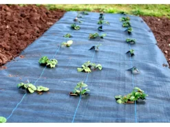 Aquagart 5m² Bodengewebe Unkrautfolie Mulchfolie 100g 1,65m Breit Schwarz