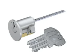 Basi - AS - Profil-Außenzylinder - Gleichschließend