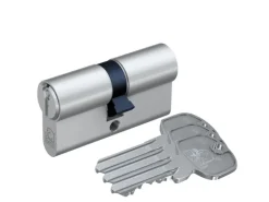 Basi - AS - Profil-Doppelzylinder - 35/55 mm - Gleichschließend