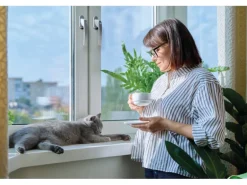 Basi - Fenstergriff - FG 503 - Abschließbar - 2er Set - inkl. 1 Schlüssel je Fenstergriff - Gleichschließend - Silber - 2X7553-0000