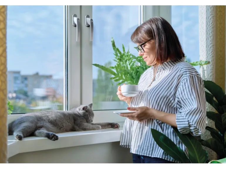 Basi - Fenstergriff - FG 503 - Abschließbar - 20er Set - inkl. 1 Schlüssel je Fenstergriff - Gleichschließend - Silber - 20X7553-0000