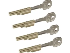 Basi - Schlüssellochsperrer - SS 12 - SET - Gleichschließend - je 2 Schlüssel - 4X9000-1201