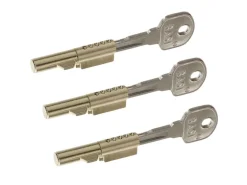 Basi - Schlüssellochsperrer - SS 12 - SET - Gleichschließend - je 2 Schlüssel - 3X9000-1201