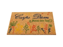 Bestlivings Kokos Fußmatte 40 x 60 cm Carpe Diem Bunt