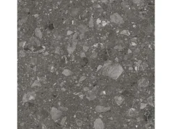 Bodenfliese Feinsteinzeug Anthrazit 60 cm x 60 cm