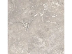 Bodenfliese Feinsteinzeug Grau 60 cm x 60 cm