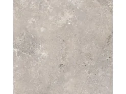 Bodenfliese Feinsteinzeug Grau 60 cm x 60 cm