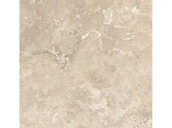 Bodenfliese Feinsteinzeug Creme 60 cm x 60 cm