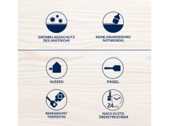 Bondex Holzlasur für Aussen Anthrazit 4 l