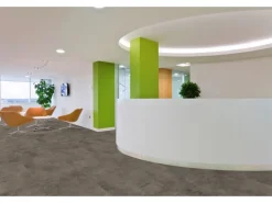 Classen Neo Vario Marron