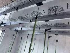 Colortree Akustikpaneele Wandpaneele Hellgrau Gemasert Wasserdicht Akustik Dämmend 4 Stück Ungefähr 260x16,5cm