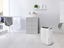 DeLonghi Luftentfeuchter DDSX220 20 l