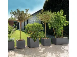 Deroma Pflanzkübel Cubo Millennium 39 cm x 39 cm x 39 cm Anthrazit