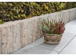 Diephaus Mauerstein Maximo Nola Muschelkalk 30 x 10 x 10 cm PE3