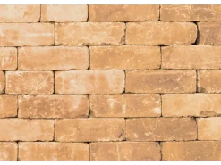 Diephaus Pflasterstein Collo Sandstein 21 x 14 x 7 cm