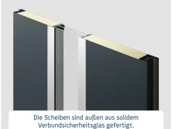 EcoStar Haustür Isopro IP 810S Dark Oak 110 cm x 210 cm DIN L