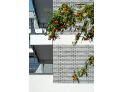 Elabrick Verblender Nebraska 7,1 cm x 24 cm Grau-Anthrazit