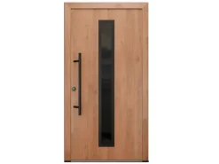 FM Türen AS68 Modell 21 1100 x 2100 Winchester Links Innen Beschläge Set 13 Glas 09