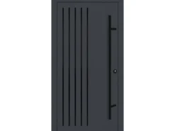 FM Türen AS68 Modell 64 1100 x2100 Anthrazit Rechts Innen Beschläge Set 01