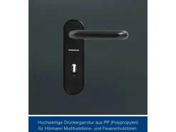 Hörmann Mehrzweck-/Kellertür H8-5 LA (Glas) RAL 7016 Links/Rechts 87,5 x 200 cm