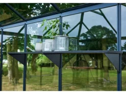 Juliana Regalhalter Schwarz