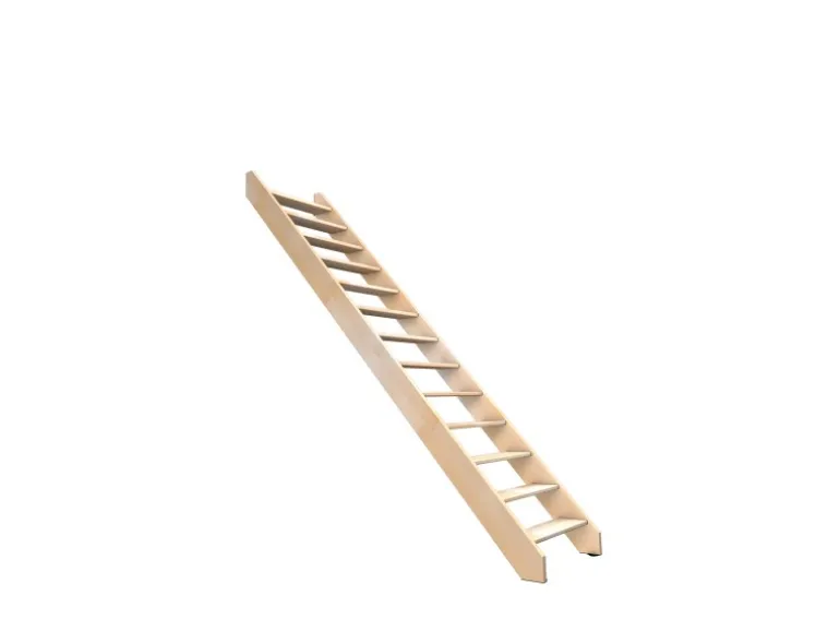 Kordo Gerade Treppe Buche Nostra