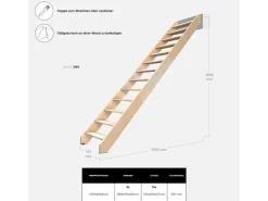 Kordo Gerade Treppe Buche Nostra