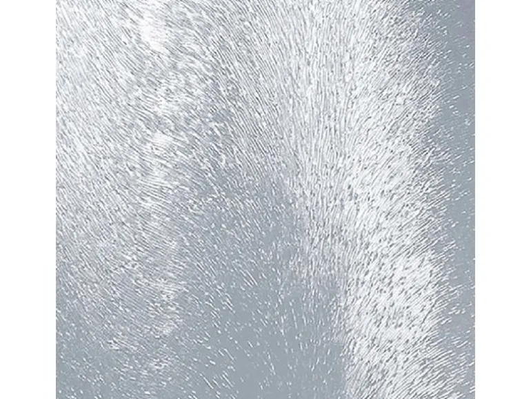 Kunststoff-Haustür 110 cm x 210 cm K017 Anschlag Rechts Anthrazit/Weiß