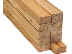 Latte Douglasie/Lärche getrocknet 30 mm x 50 mm x 2000 mm