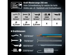 LUX Kraft-Monierzange Pro 250 mm