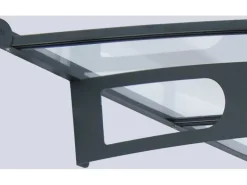 Palram-Canopia Vordach Vega 2 x 2 Grau Klar