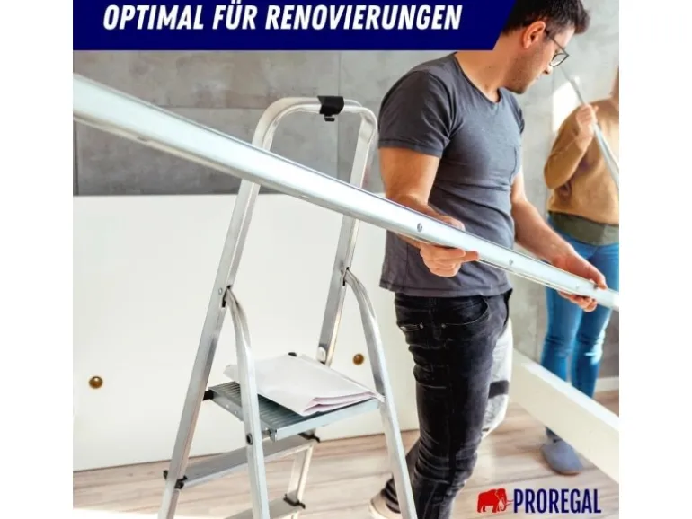 PROREGAL Stufenstehleiter mit Werkzeugablage & Handlauf Economy Basic Einseitig Begehbar 6 Stufen Arbeitshöhe 3,19 m Traglast 150 kg