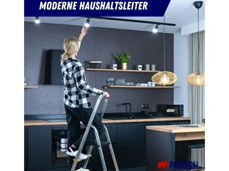 PROREGAL Stufenstehleiter mit Werkzeugablage & Handlauf Economy Basic Einseitig Begehbar 6 Stufen Arbeitshöhe 3,19 m Traglast 150 kg