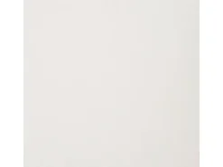 Schöner Wohnen Tageslicht-Rollo Tizia 60 cm x 150 cm Weiß