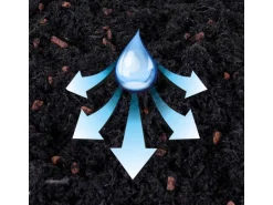 Seramis Spezial-Substrat für Kakteen & Sukkulenten 2,5 l