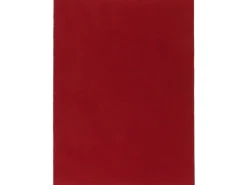 Snapstyle Kunstrasen Rasenteppich mit Noppen Kingston Rot 200x50cm