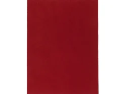 Snapstyle Kunstrasen Rasenteppich mit Noppen Kingston Rot 200x100cm