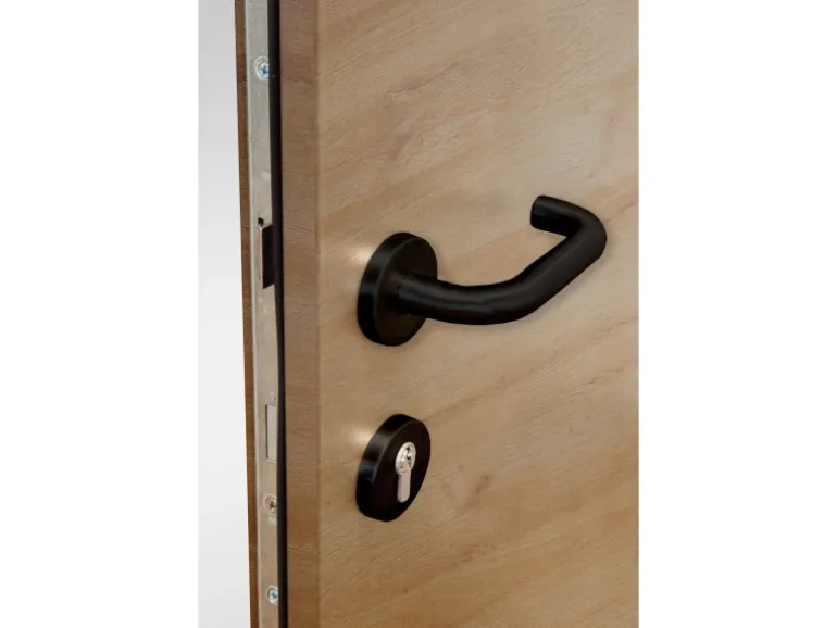 Splendoor Haustür ThermoSpace Paris Prime Woodeffect 110 cm x 210 cm Anschlag Re