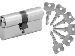 Splendoor Thermospace Haustür Berlin Prime 110x210 cm Grau R