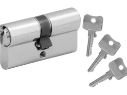 Stahl-Nebeneingangstür NS2 Weiß Nach Innen Öffnend 98 x 198 cm Anschlag R