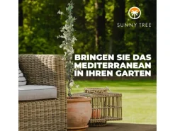 Sunny-Tree Toskanischer Jasmin 2 Stück Kletterpflanze und Außenpflanze Widerstandsfähig bis -18 Höhe 120 cm Trachelospermum Jasminoides