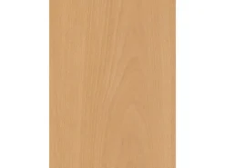 Türzarge CPL Buche Blumig Nachb. (GL880) 86 cm x 198,5 cm x 14,5 cm Anschlag L