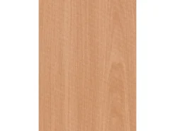 Türzarge Dekor Buche Holznachb. (GA77) 86 cm x 198,5 cm x 24 cm Anschlag L/R