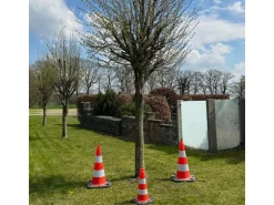 UvV Bigfoot XL Leitkegel 75cm 5 kg Teilreflektierende Verkehrskegel Pylonen mit 2 Folienstreifen RA2/C