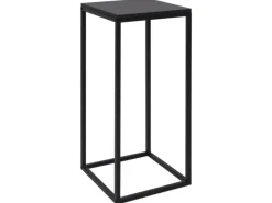 vidaXL Beistelltische 2 Stk. Schwarz Stahl