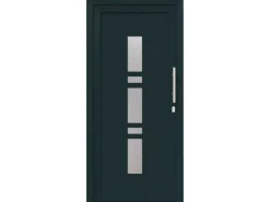 vidaXL Haustür Anthrazit PVC 3385781