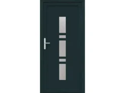 vidaXL Haustür Anthrazit PVC 3385815