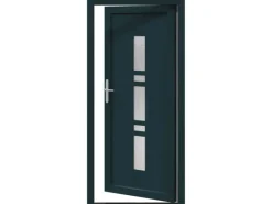 vidaXL Haustür Anthrazit PVC 3385816